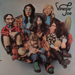 vinegar joe vinyl