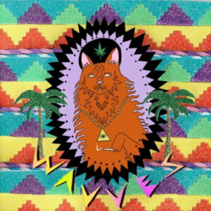 wavves king beach vinyl