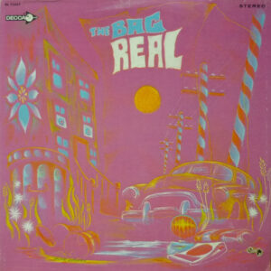 The Bag – Real vinyl