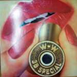 38 Special – Rockin Into The Night vinyl