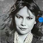 The Jan Park Band Vinyl