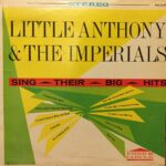 Sing Their Big Hits Vinyl