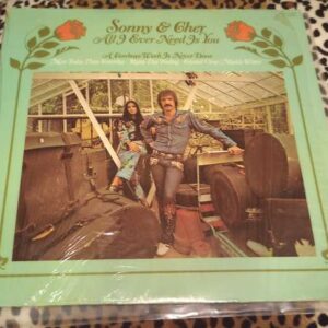 All I Ever Need Is You Vinyl